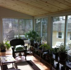 letting in natural sunlight through windows