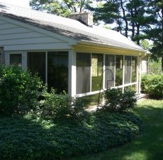 Patio enclosure surrounded by plants