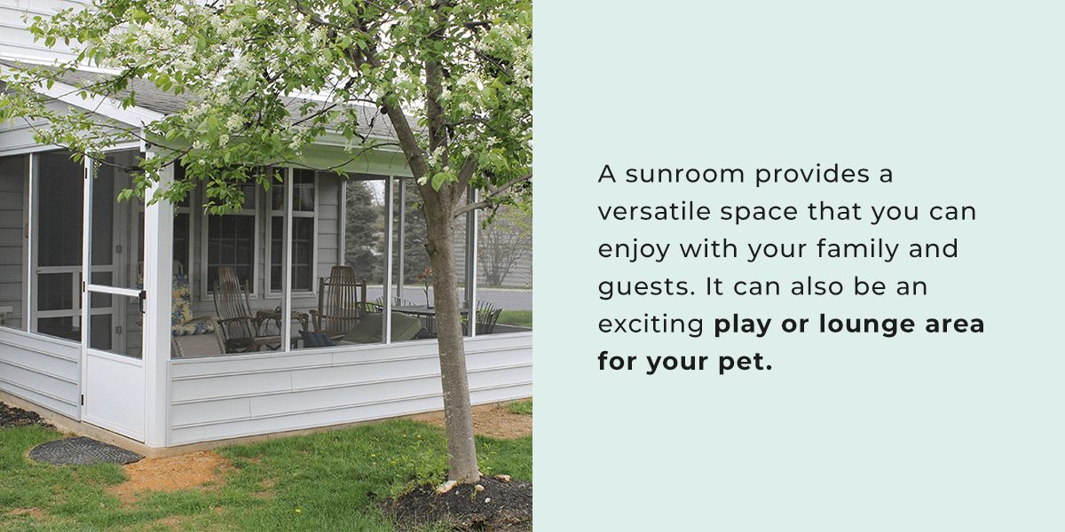 Pet-Friendly Sunrooms & Screen Enclosures - PAsunrooms